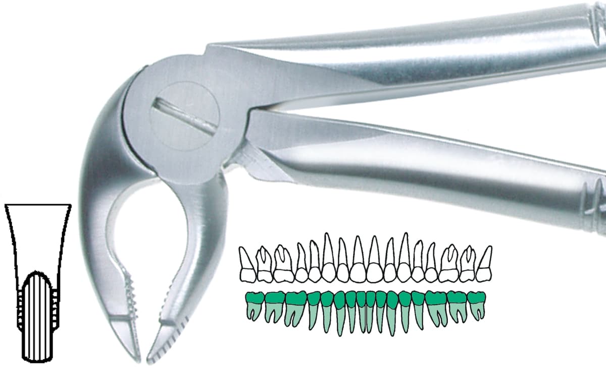 Salvin DGA-36 Deep Grip Extended Tip Length Serrated Extraction Forcep
