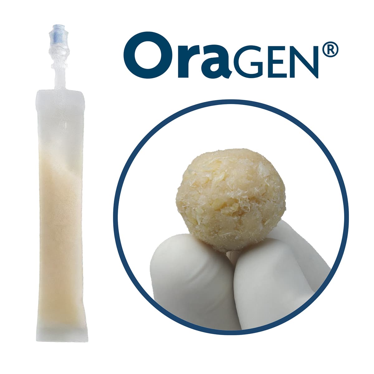 OraGen® Viable Dental Bone Allograft